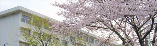 校舎「桜」