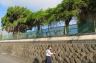 1745451299-300x199.jpg